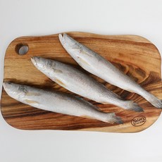 자갈치닷컴 민어조기(뾰조기)5P 26~28cm전후 5마리 뾰족조기, 5개