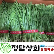 [ 정담상회 ] 국내산 부추 500g~600g(한단) 1kg 2kg 내외, 500g, 1박스