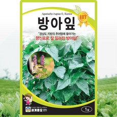 세계종묘 방아잎 씨앗 1g 배향초 방아잎씨 약초 종자, 1개