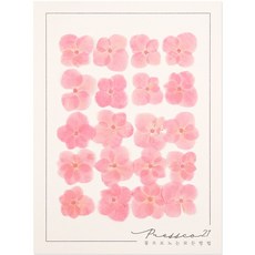 프레스코21 압화 꽃송이 수국 B형(연한벚꽃) 20p