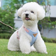 디아쿠아 강아지 고양이 바디핏 하네스 리드줄 세트, 퍼플블루, 1개