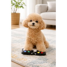 [푸들나무] 멜로멍 강아지 피아노 건반 노즈워크 장난감, 1개, piano