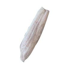 손질생선메기 팡가시우스필렛(횟감용) 300gX2개, 2개