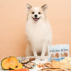 왈랄라 강아지 관절 다이어트 40g 120g 영양제 트릿 간식, 뼈/관절강화, 1개, 관절&다이어트 120g