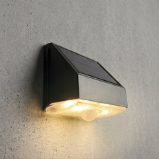 파카이라이트 각1 고급태양광 LED 무선 센서등, 블랙, 1개
