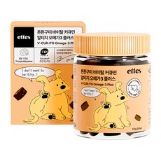 엣츠 튼튼구미 강아지 오메가3 영양제, 1개, 피부/피모, 80정