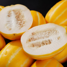 [초고당도] 단골1000명 과즙팡팡 당일수확 성주참외, 1개, 3kg