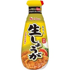 하우스 강판 생생강 56온스160g x 5팩, 160g