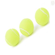 뜬구름디자인 연습용 테니스공 3개입 연습용볼