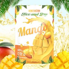 참다올 건조망고 100g 1개입