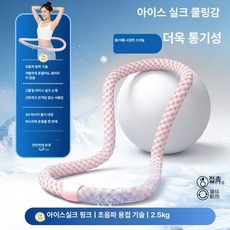 써니글로벌 훌라후프 훌라후프다이어트 학원, [고급 2.5kg] 피치핑크, 기본 모델명/품번