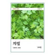 허브 씨앗, 1개, 7. H07 챠빌 (200립)