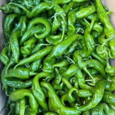 금성식품 중국고추 약간매운맛 뤼스죠 B품 못난이 꼬불랑이 1kg, 1개