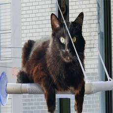 별별마켓 부착식 고양이 해먹 벽면고정