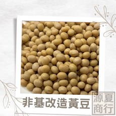 加拿大非基改黃豆 500g, 1個