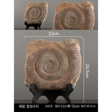 공룡 화석 모형 장난감 뼈 티라노사우루스 장식 공룡화석 화석모형 소품, E.  달팽이 화석