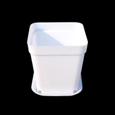 (쏘어링팜) 미니 다육 화분 사각모양 흰색 + 트레이, 1개, 1개