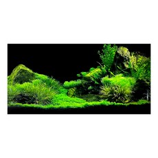 미미네아쿠아 싱그러운수초가득 어항 백스크린, 1개
