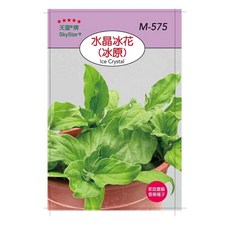 天星牌 水晶冰花種子 M-575 家庭園藝 香藥種子, 1個