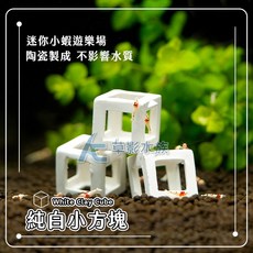 AC草影 純白小方塊 水晶蝦礁, 1個