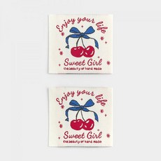 퀼트스타 트윙클 블루 리본 체리 라벨, 2개, 혼합