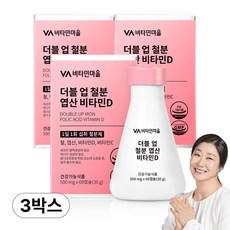 비타민마을 와이즈 더블업 철분 엽산 비타민D, 60정, 3개