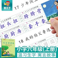 六年級上下冊課本同步凹槽字帖小學生兒童速成硬筆鋼筆楷書練字本熱賣, 1個, 六年級上冊1筆10芯2握筆器