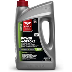 TRIAX 파워 4행정 SAE 30W 풀 합성 4사이클 소형 엔진 모터 오일 잔디깎이 발전기 트랙터 통나무 분할기 스노우 블로워 압력 세척기 시멘트 믹서 등 1갤런용, 1 Gallon