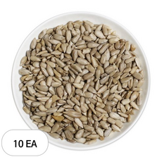 웰넛 자연두레 해바라기씨, 500g, 10개