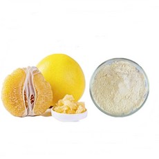 유자과즙분말 1kg, 1개, 다사랑 쿠팡 본상품선택, 1g