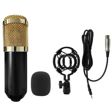 BM800 콘덴서 합금 마이크 키트 전문가용 사운드 카드 암 브래킷 V8 스튜디오 믹서 라이브 노래 녹음용, 02 Gold