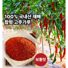 [아텝] 매산농원 25년산 국내산 함평재배 고춧가루 김장용 찌개용 보통맛, 1개, 1kg