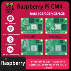 Raspberry Pi CM4 1GB2GB4GB8GB RAM Rpi 컴퓨팅 모듈 EMMC Wifi 옵션 향상된 성능, 02 0GB EMMC, 06 NO WIFI 1GB RAM