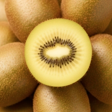 [마지막판매] 딱50박스만 입안가득 꿀birx 골드키위, 1개, 2kg