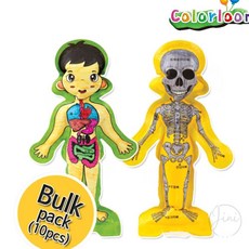 JINI 인체 10인 아동미술만들기