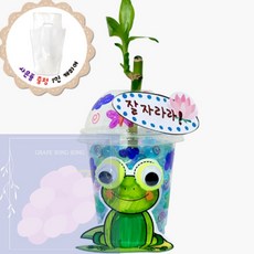 GS 개구리 개운죽 화분 만들기 유아화분만들기세트