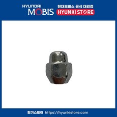 너트 허브 21mm (5295014140)