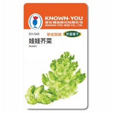 KNOWN-YOU 娃娃芥菜種子 家庭園藝 特選種子 快速生長 口感清甜, 1個