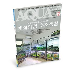 아쿠아라이프 2019년 12월호
