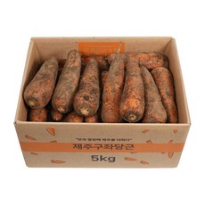 삼다몰 제주 구좌 당근, 1박스