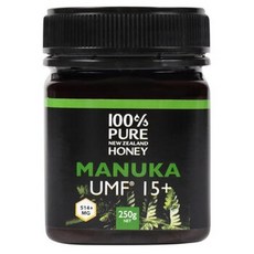 코스트코 재팬 마누카 허니 UMF15, 250g, 1개