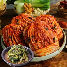 해남 땅끝마을 쌍둥이네 김치 세트, 1세트, 9kg