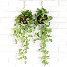 JOART 人造花籃藤蔓, 網紋草, 2個