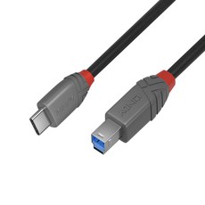 LINDY USB-C 轉 USB-A 3.0 數據線 適用於筆記型電腦、智慧型手機、平板電腦、硬碟、集線器、印表機, 36665 黑色, 1個, 50cm
