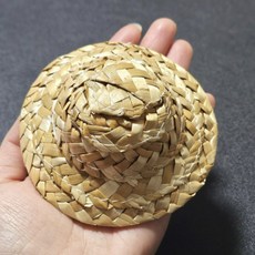 대형반려식물모자 피규어인형모자 밀짚모자