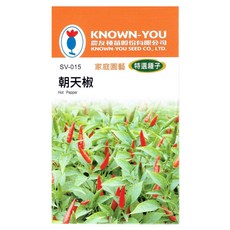 KNOWN-YOU朝天椒種子 家庭園藝特選 台灣全年可種 盆栽辣椒, 1個