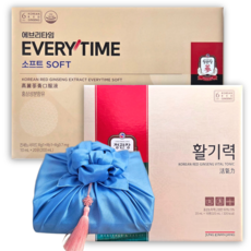 정관장 홍삼정 에브리타임 소프트 20포 활기력 16개입 백화점 보자기 포장 쇼핑백 선물세트, 1세트, 520ml