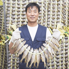 [상위1%생산자직송] 영광 법성포 참조기 참굴비, 1박스, 1.3kg 20미 (대)