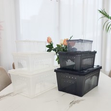 알에이포레스트 코코넷 반투명 케이지 소 중 대 3개, 화이트 중