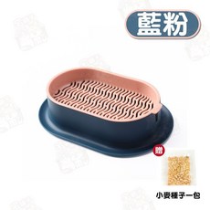 水培貓草栽種盒 寵物用品 DIY種植, 1個, (橢圓款)藍粉色(送小麥種子)